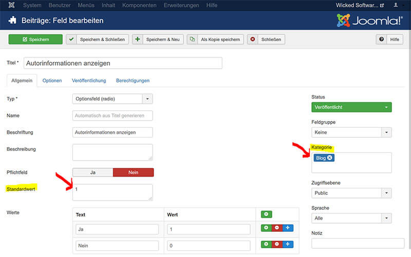 Custom Field Auswahl für Joomla! Artikel anlegen