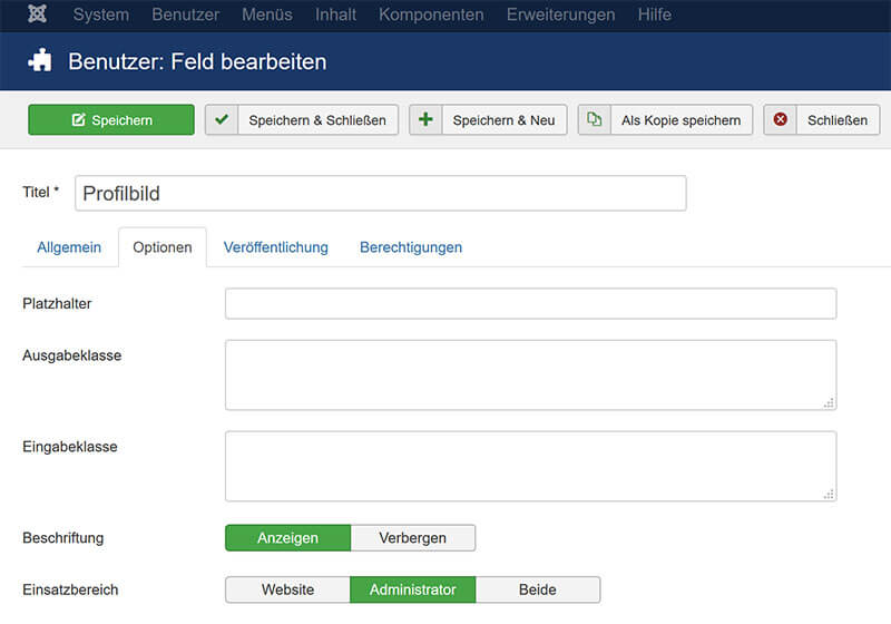 Backendformular Custom Field nur für Joomla! Administration